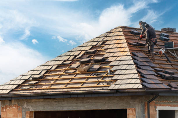 Best Solar Panel Roofing Installation  in Grand Haven, MI